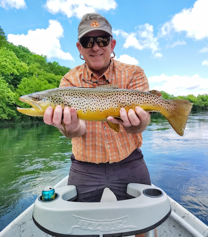 A Beautiful Brown Trout Being Held
