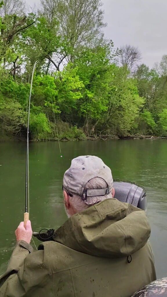An angler fighting a hard-running Rainbow Trout on a fly rod during the Black Caddis hatch on the Cumberland River