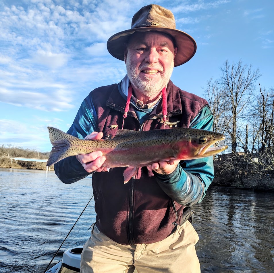 Fly angler holding a large rainbow trout caught on the Clinch River.
