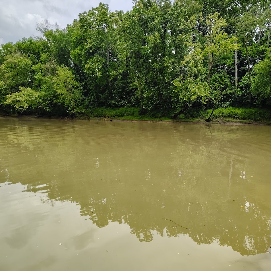 The Cumberland River running high and muddy after a heavy rainstorm in Burkesville, Kentucky.