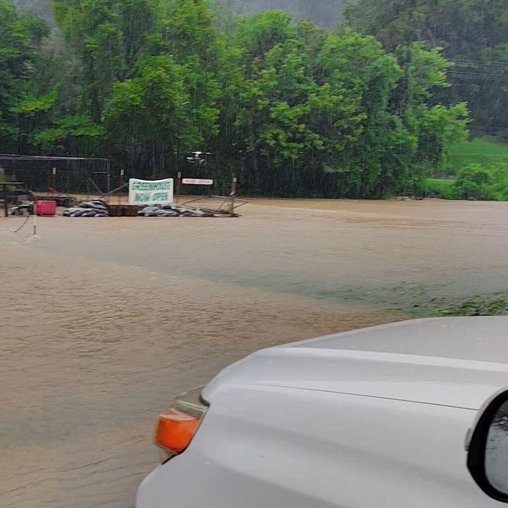 Flooding in Burkesville Kentucky last weekend.